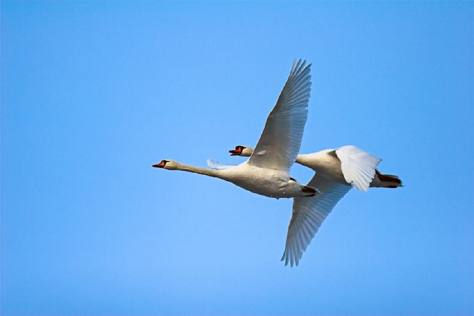Lass uns gemeinsam auf die Reise gehen...