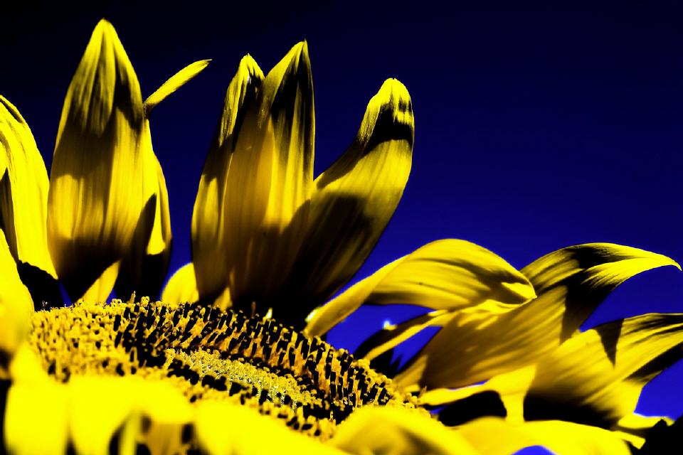 Die Kraft des Lichts.