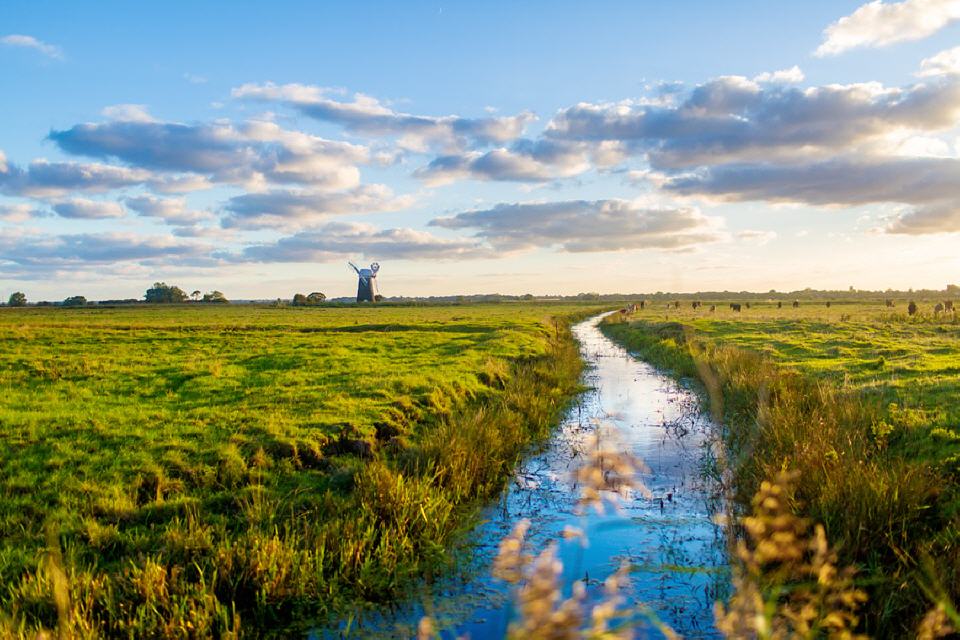 Das Land ist... flach. Norfolk. Auch wenn es wie in den Niederlanden aussieht.
